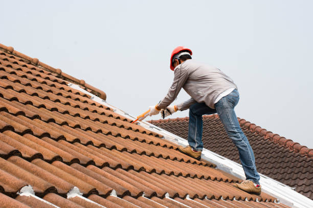 Metal Roofing in St Ignace, MI